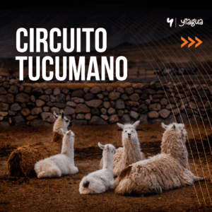 CIRCUITO TUCUMANO