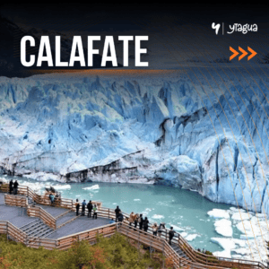 CALAFATE
