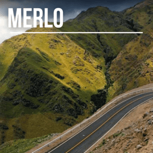 Merlo