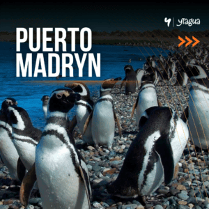 PUERTO MADRYN