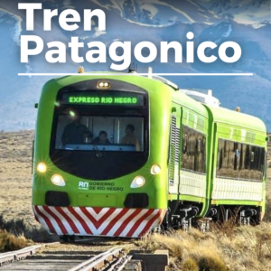 TREN PATAGONICO