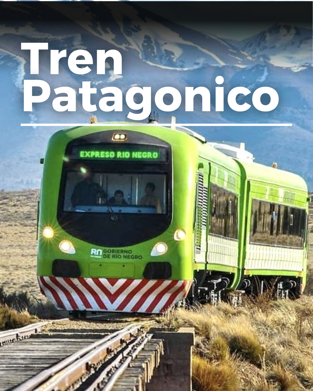 TREN PATAGONICO