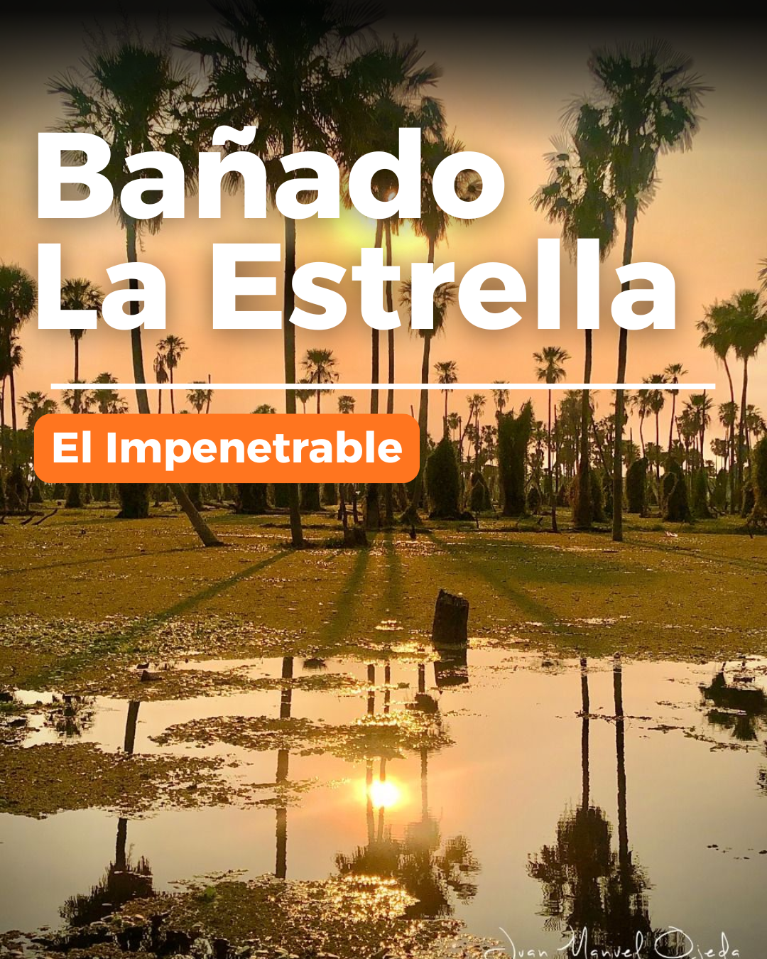 Bañado La Estrella – El Impentrable
