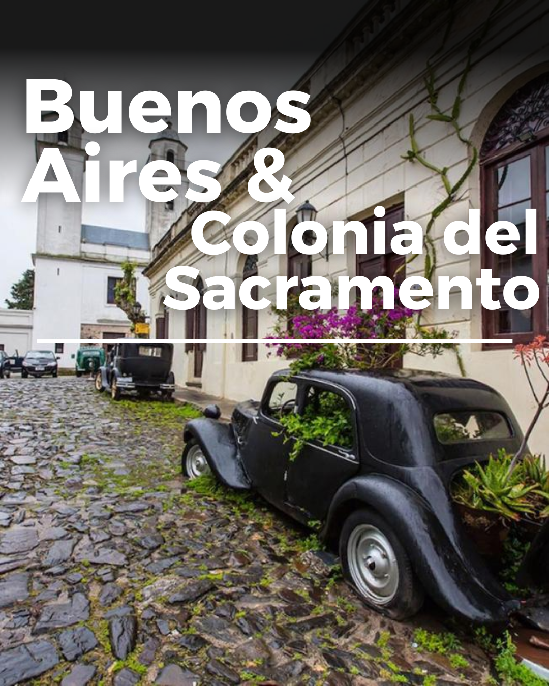 BUENOS AIRES con Colonia del Sacramento 2026